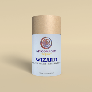 WIZARD